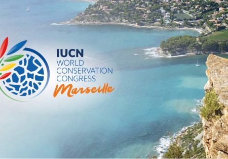 UICN