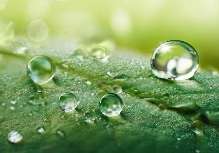 European Week for Sustainable Development 2022