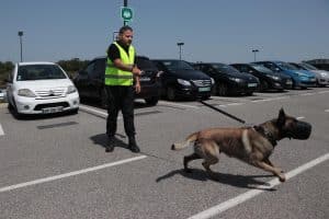 Um agente de segurança acompanhado de seu cão