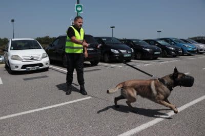 Un agente canino de seguridad acompañado de su perro