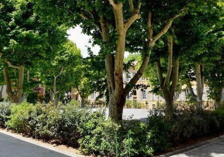 campus d’Aix-en-Provence