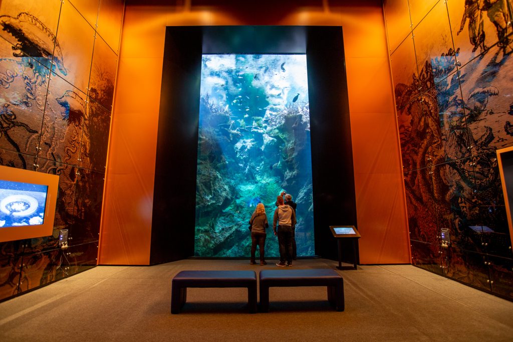 Vitrerie des aquariums de la Cité de la Mer