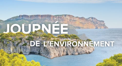 Día Mundial del Medio Ambiente: Onet reafirma su compromiso con un futuro más responsable